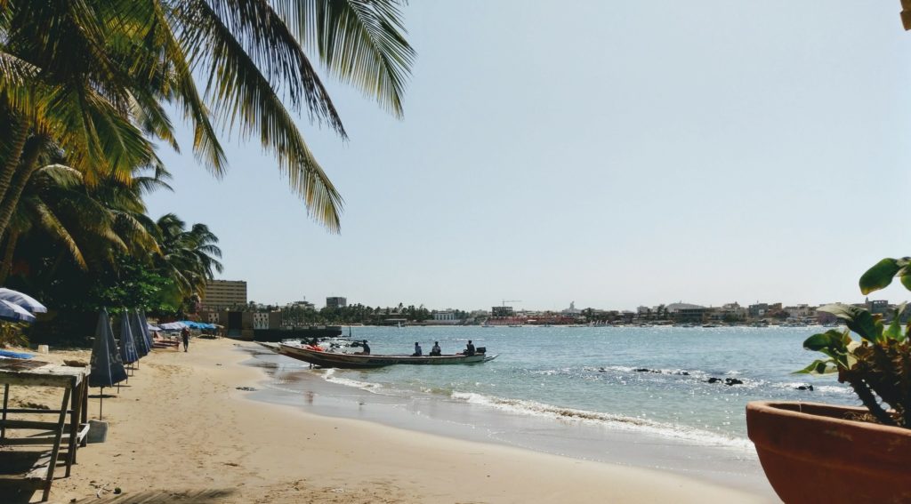 Palm Trees-Beach-Pirogue Boat