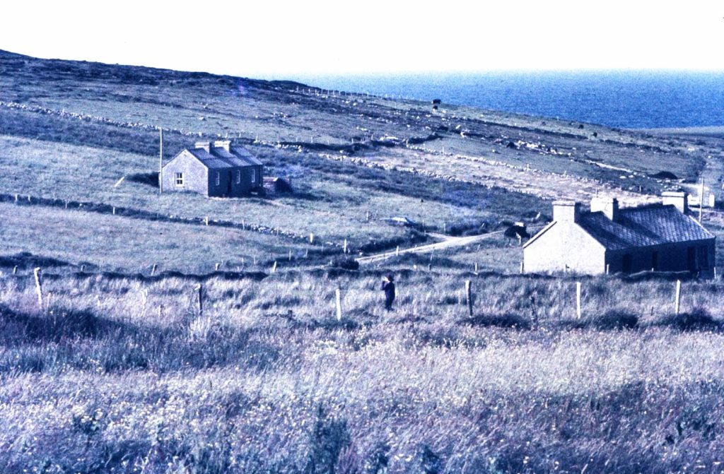 Ireland-green-fields-houses sea