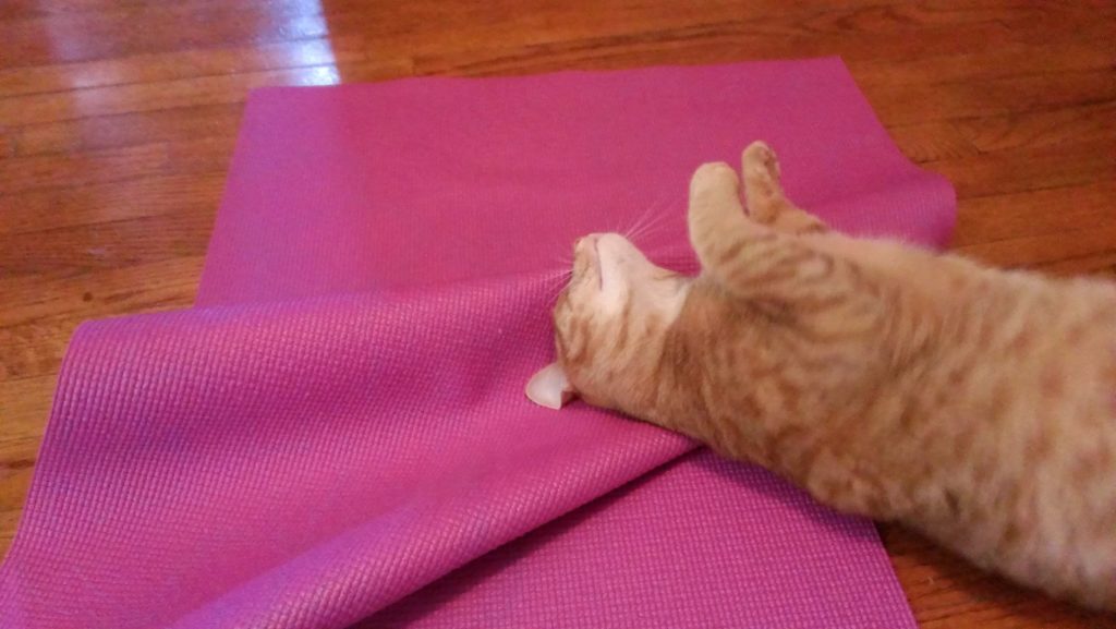 Orange-Cat-Yoga-Mat